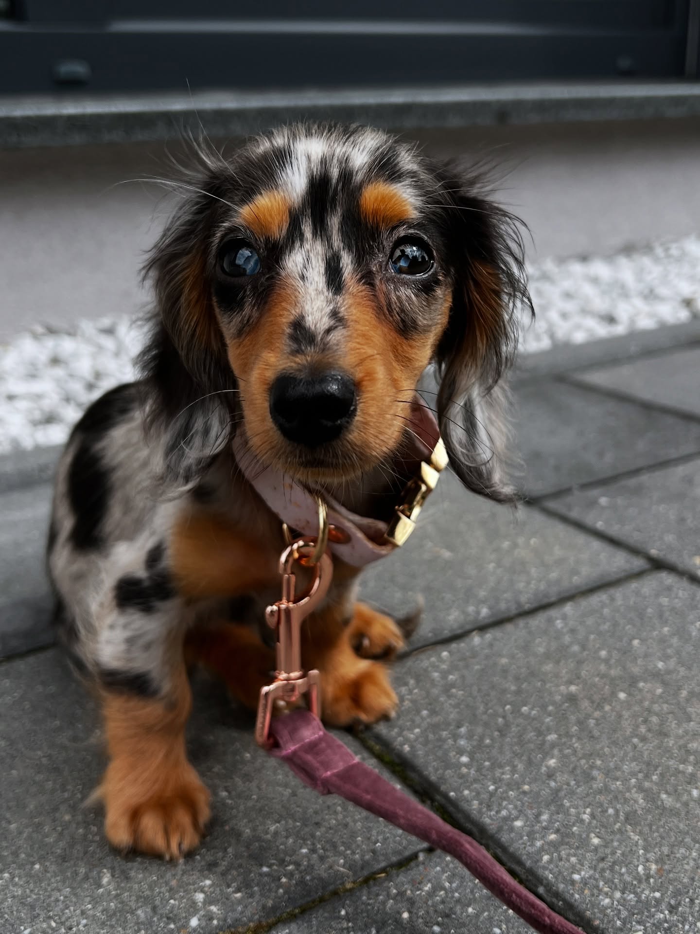 Mav - Image 2