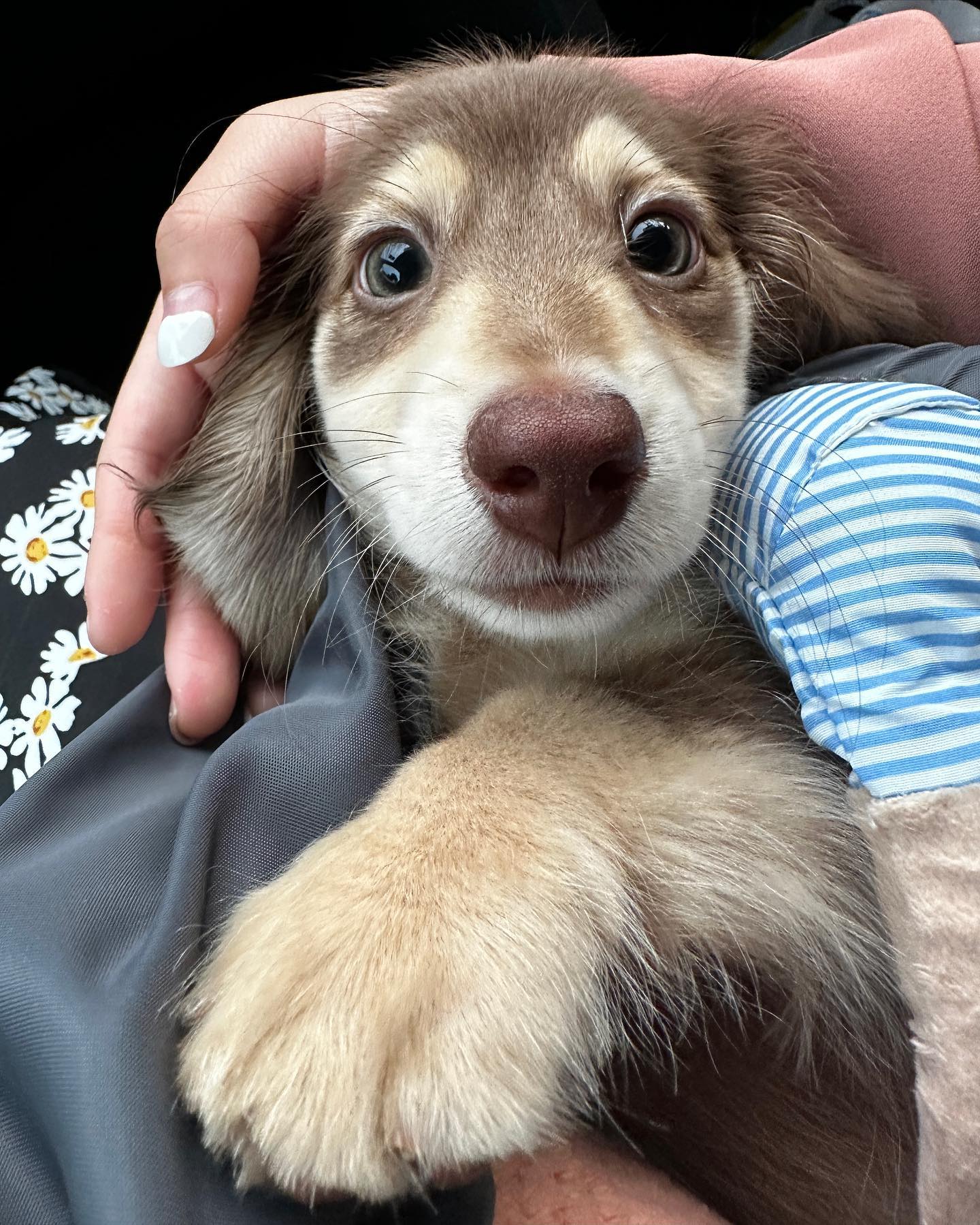 Boka